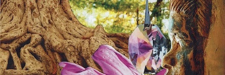 Energie update Rode Draak levenspad: 3 - 15 februari 2023